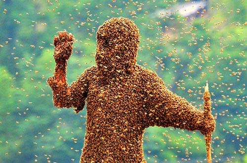 Лечение наркомании пчелами