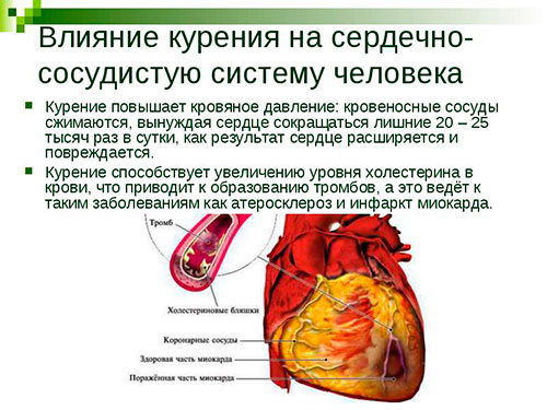 Никотин и артериальное давления thumbnail